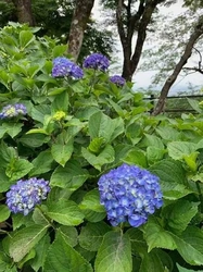 四季折々の美しい環境
