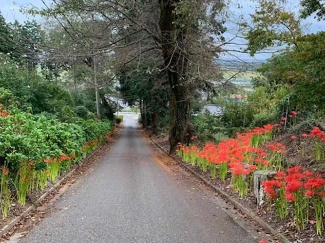 プレミアム「大平ぶどうの森」樹木葬墓地 