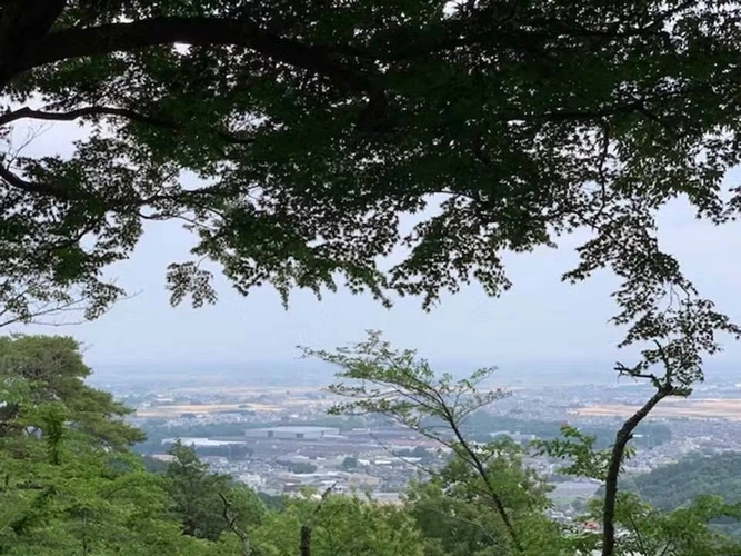 プレミアム「大平ぶどうの森」樹木葬墓地 