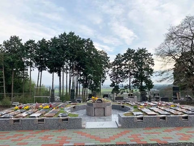  プレミアム「大平ぶどうの森」樹木葬墓地