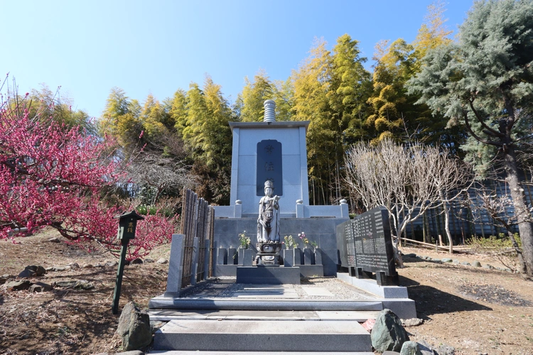 座間市 個別式樹木葬墓地 龍洞院 