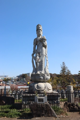座間市 個別式樹木葬墓地 龍洞院 