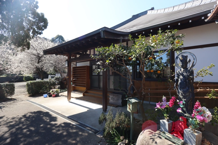 座間市 個別式樹木葬墓地 龍洞院 