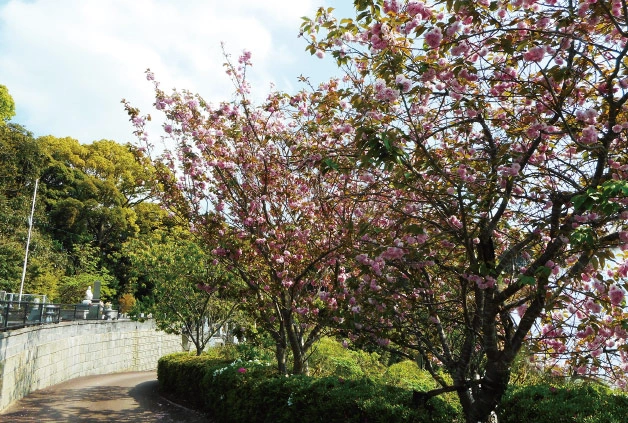 早岐霊苑 