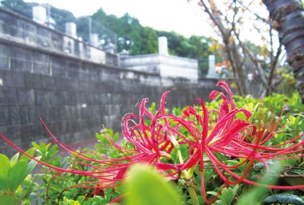早岐霊苑 