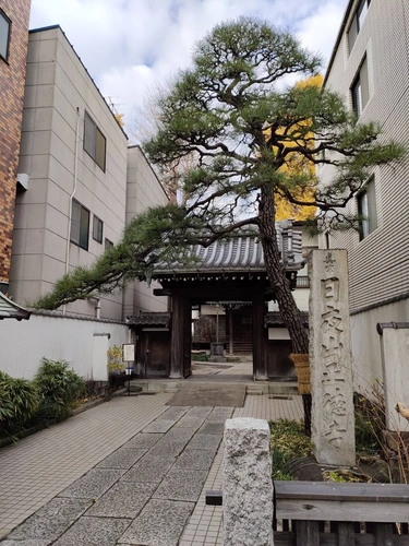 品川区 正德寺 欅の杜 樹木葬 樹心～じゅしん～