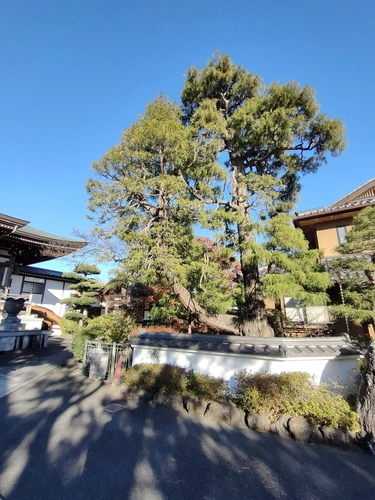 清勝院 樹木葬～月庭～ 合同供養墓～令徳廟～ 
