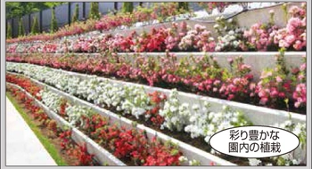 四季の彩りに囲まれた心やすらぐ公園墓地