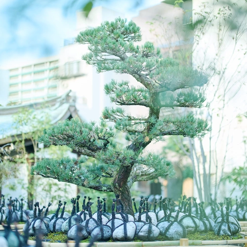 墨田区霊園 想盆 