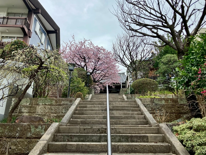 恵比寿　陽だまりガーデン 