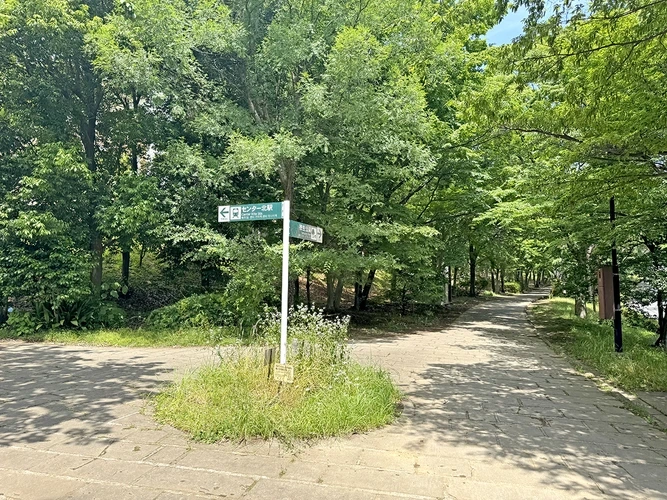 センター北駅から続く緑道