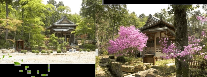 光明寺