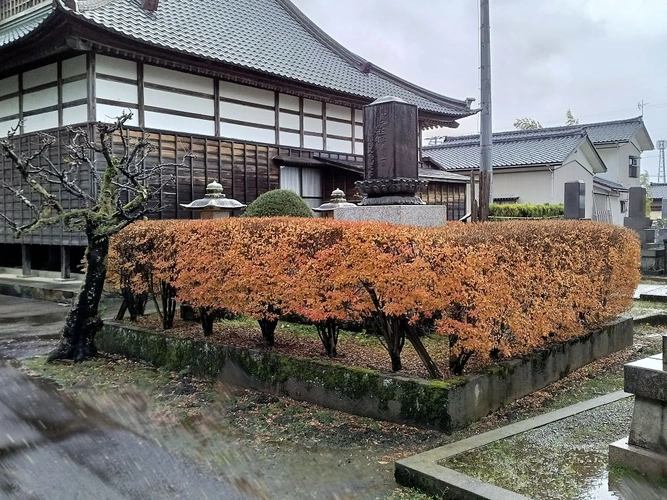 外観 本堂裏