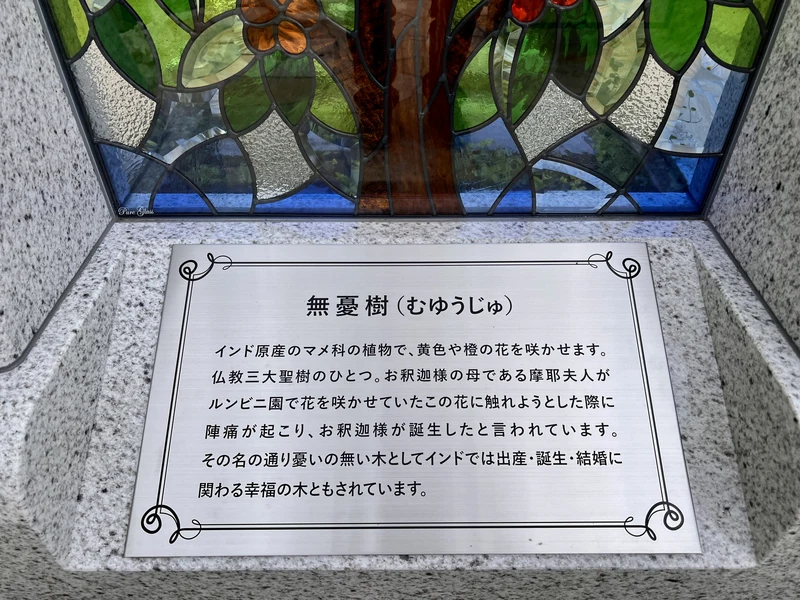 無憂樹の意味　仏教の三大聖樹 幸福の木