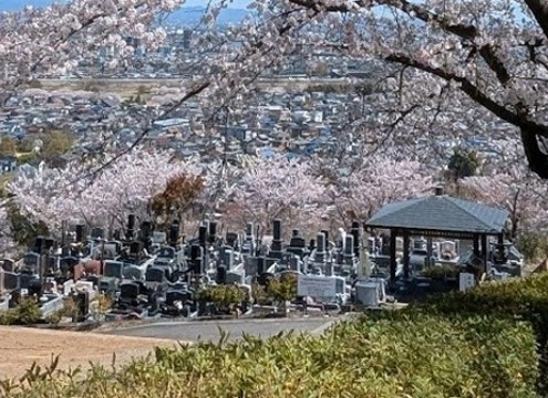 みはらし霊園全景