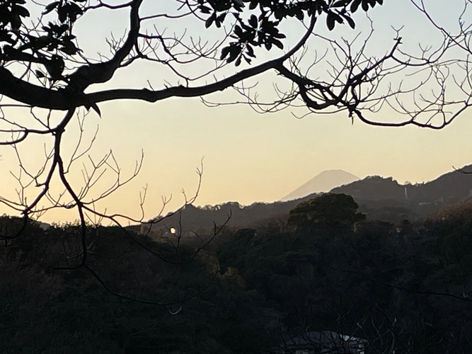 横須賀ヒルズ樹木葬ふじみ 天気のいい日には富士山を望める