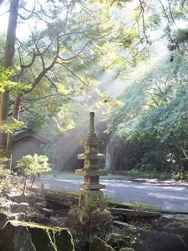 永澤寺もみじ霊園 新緑の庭園