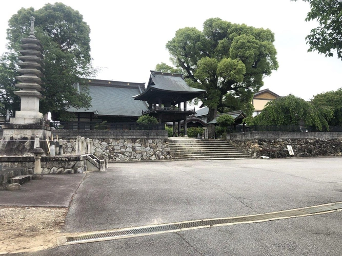 圓福寺墓地 
