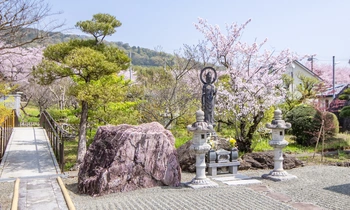 豊かな自然と落ち着いた雰囲気の寺院墓地