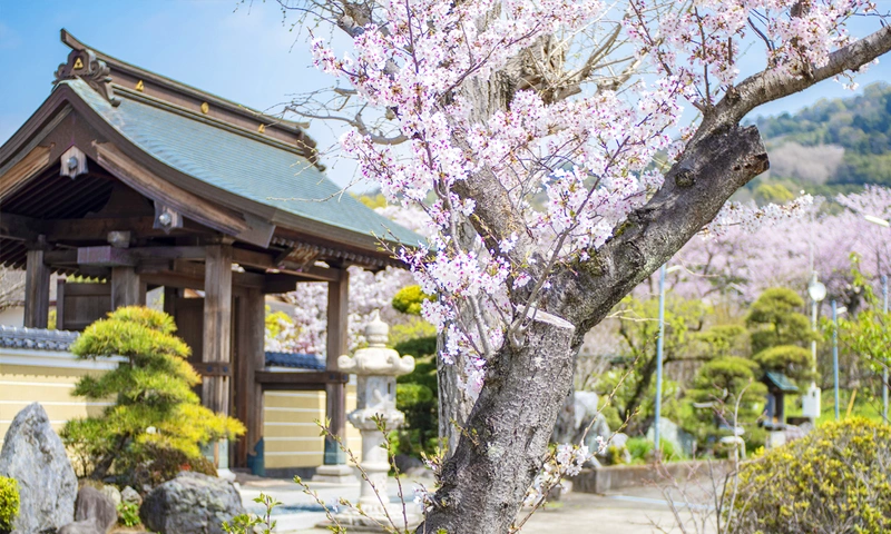 玉泉寺 永代供養墓・樹木葬 