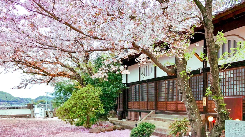 尾道市 偲墓 信行寺