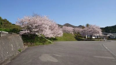 悟真院 永代供養墓 駐車場の写真