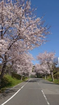 悟真院 永代供養墓 