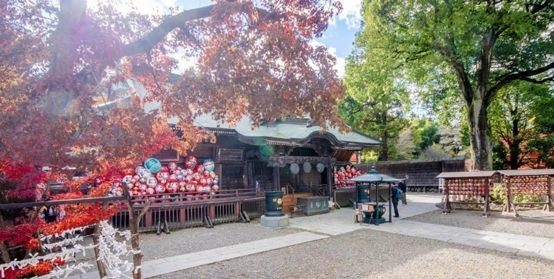 紅葉に彩られる境内