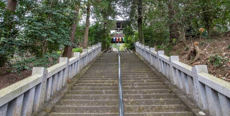 少林山達磨寺 永代供養墓・樹木葬 