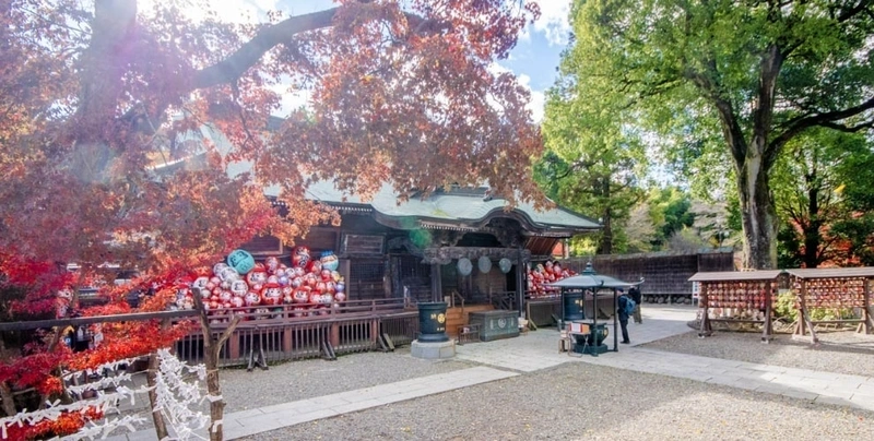 少林山達磨寺 永代供養墓・樹木葬 秋の境内