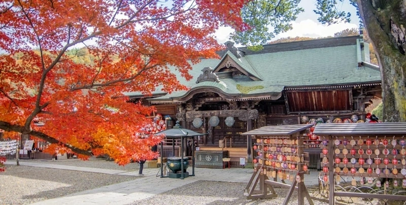 少林山達磨寺 永代供養墓・樹木葬 秋の境内