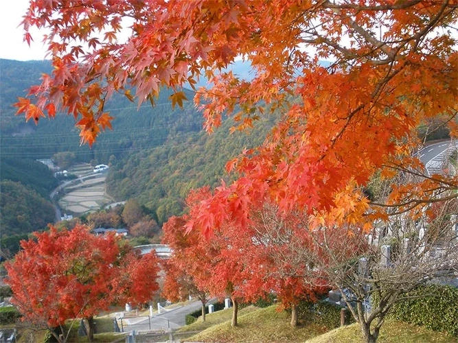 大阪北摂霊園 