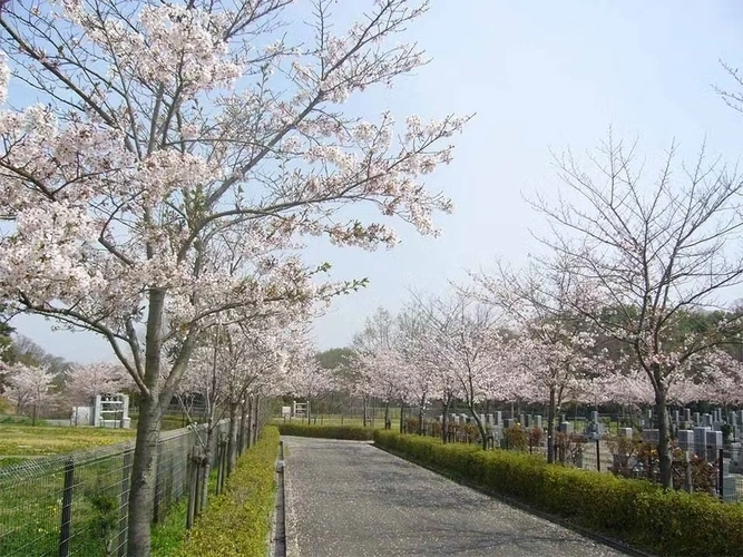 京阪奈墓地公園 園内風景