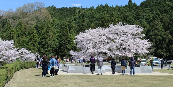 樹木葬・家族永代供養墓さくら