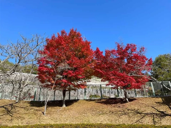 高槻霊園 