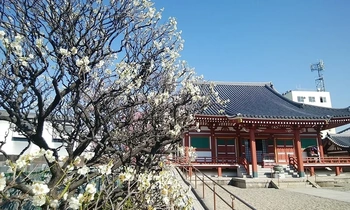 大阪市淀川区にある寺院墓地