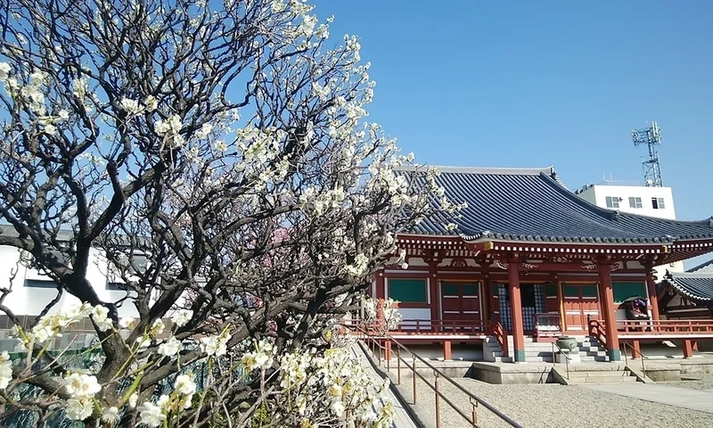 大阪市淀川区 富光寺墓地