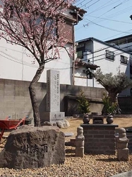 在来仏教の寺院墓地