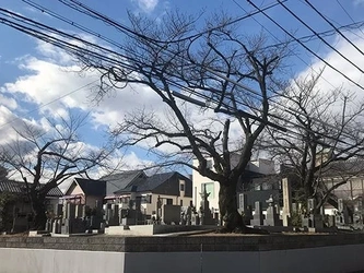 浄土真宗本願寺派の共同墓地