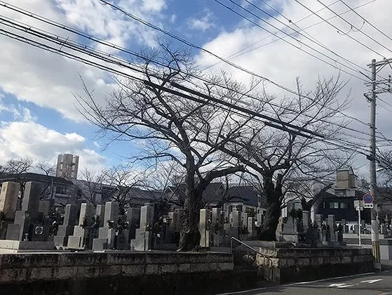 豊中市 桜塚墓地