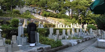 緑豊かな陽春寺