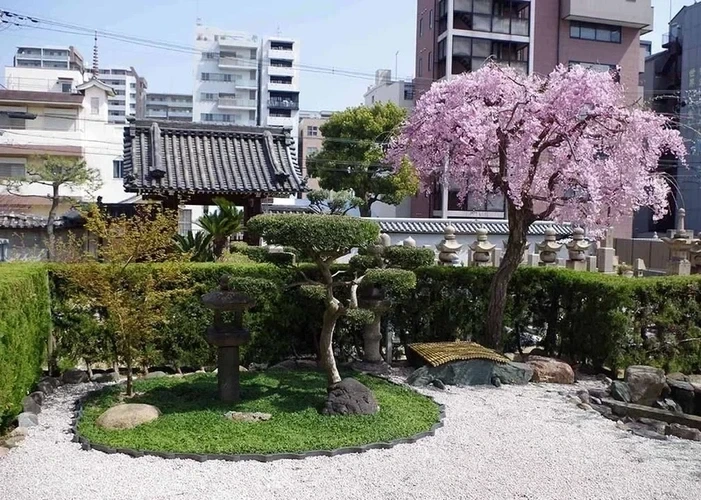 春の枝垂れ桜