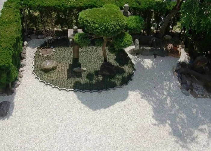 夏の緑