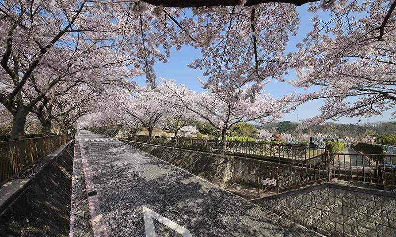 大阪柏原聖地霊園 