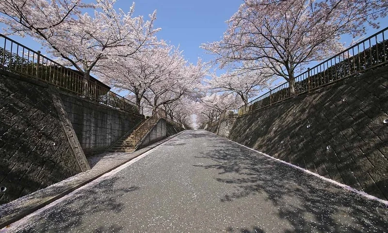 大阪柏原聖地霊園 