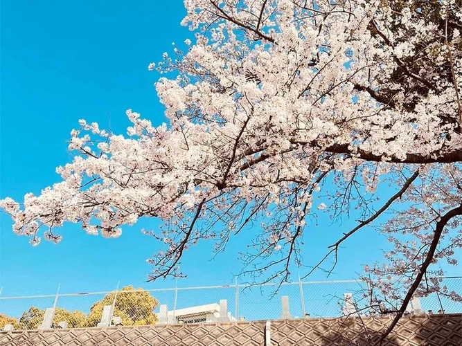 本厳寺霊苑 