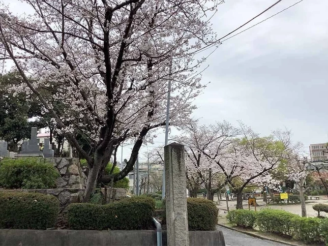 本厳寺霊苑 