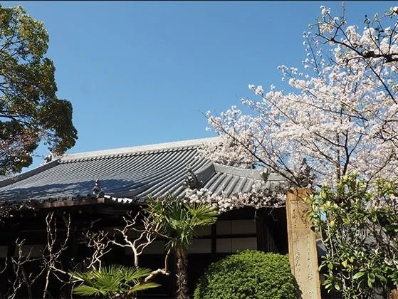 大寶寺 のうこつぼ 