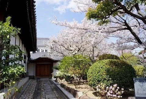 銀山寺墓地 