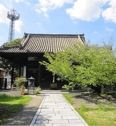 明るい雰囲気の寺院墓地